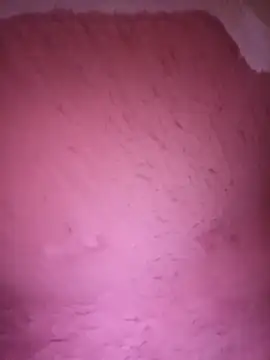 Paulmig19 Webcam-Show