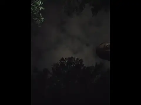 Živý XXX chat Macey6942
