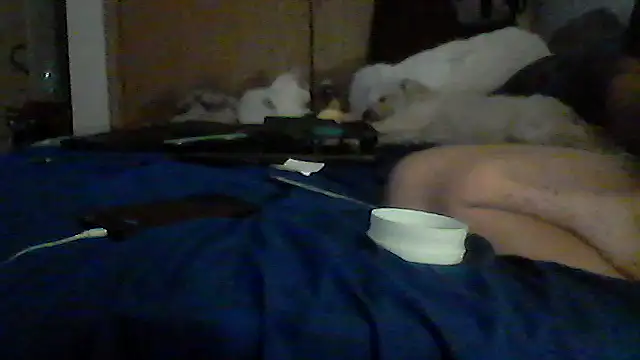 Silencio26 Chat XXX in diretta