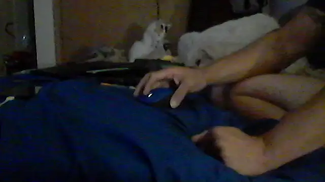 Show webcam de Silencio26