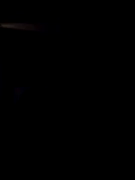 AceticPinscher élő XXX-chatje