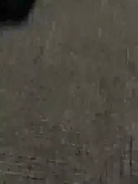 Chat +18 de tunneltom ao vivo