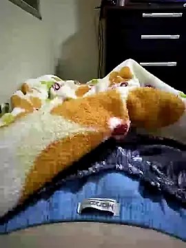 Show de webcam de Gallanttrox