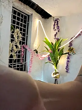 royalgirls_x – Naživo XXX chat
