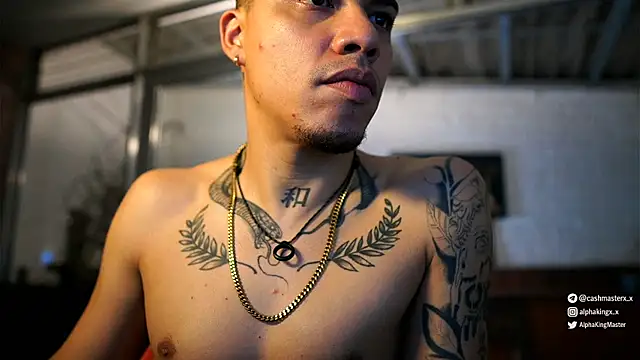 Chat XXX Live AlphaMasterXxx
