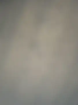 StreetSquirt élő XXX-chatje