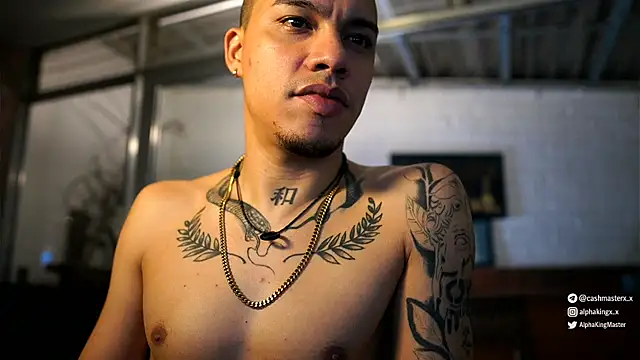 แชท XXX สดของ AlphaMasterXxx