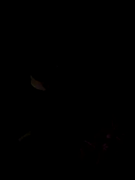 Lil_Layla_Jane's Live XXX Chat