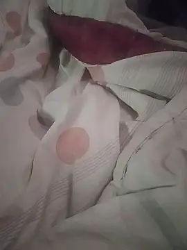 WiseDi 라이브 XXX 채팅