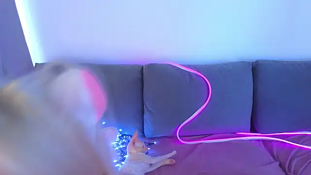Chat XXX Live Wildneck