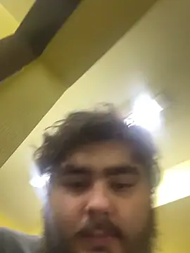 BigBearBeern Webbikameraesitys