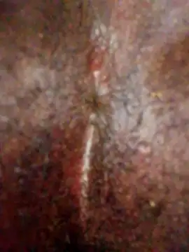 xtrapj Show in webcam
