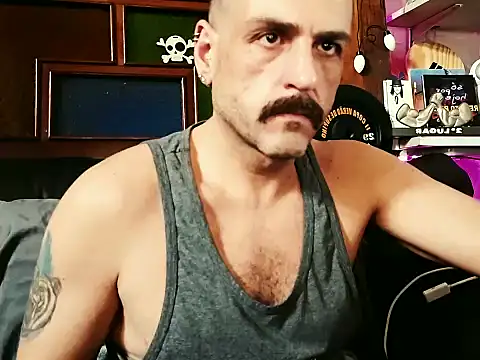 BrunoAlphaBR 现场XXX聊天