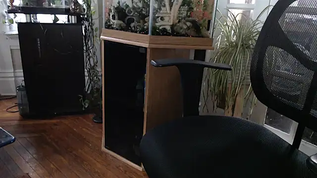הופעת וובקאם של EspanolVato