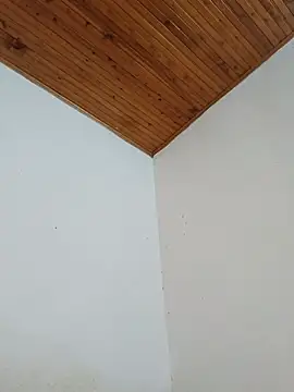 Živý XXX chat sofiaxxxxkl