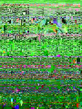 צ'אט XXX בשידור חי של bigred0808