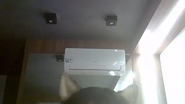 Show de webcam de SkinnyKitten