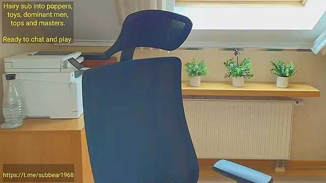 subbear1968n Live XXX chat