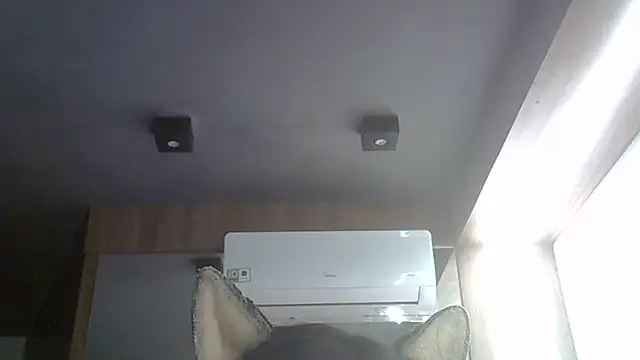 Show de SkinnyKitten na webcam