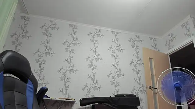 Show de SanFrantsisko na webcam
