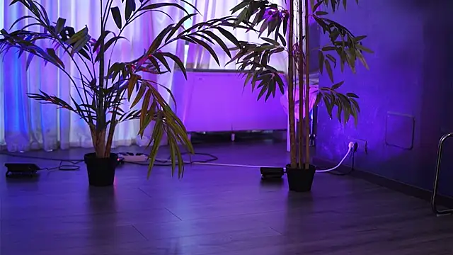 HotBustyBabeX Live XXX-Chat