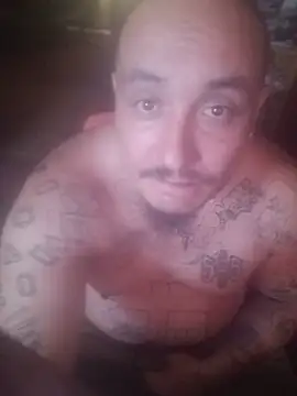 Dick4yourholes' Webcam Show