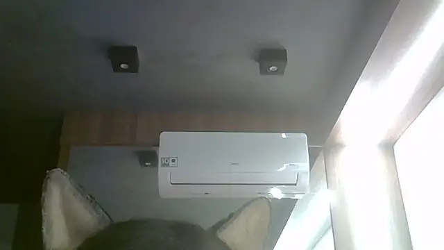 SkinnyKitten Pertunjukan Webcam