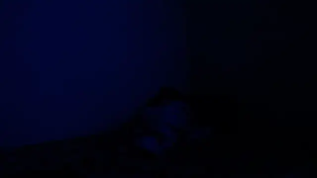 bianca_imp Chat XXX in diretta