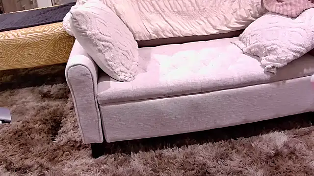 Show webcam de GushyKat