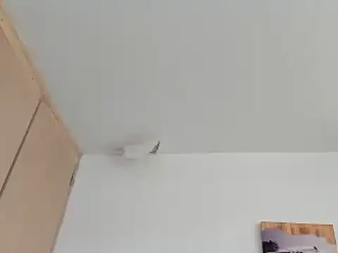 GilberMxx Live XXX Chat