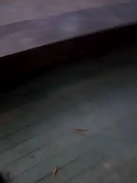 FeloBad XXX чат на живо