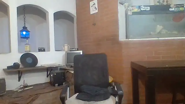 Stevenson988 Chat XXX live