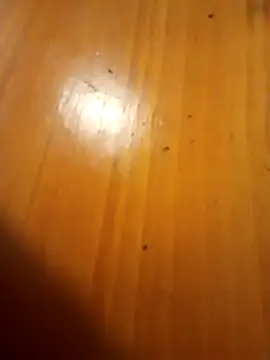 عرض كام Espa69