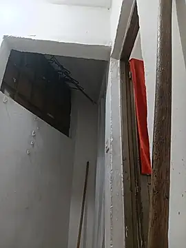 Zulema_R1 라이브 XXX 채팅