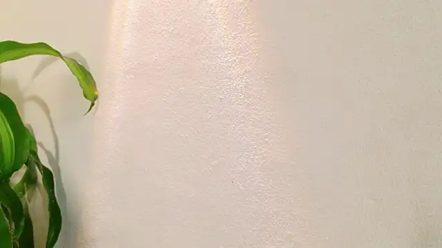 แชท XXX สดของ Mandy_boobs99
