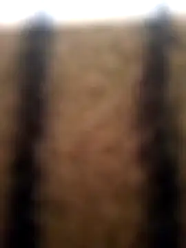 Sinaga01 Show Webcam