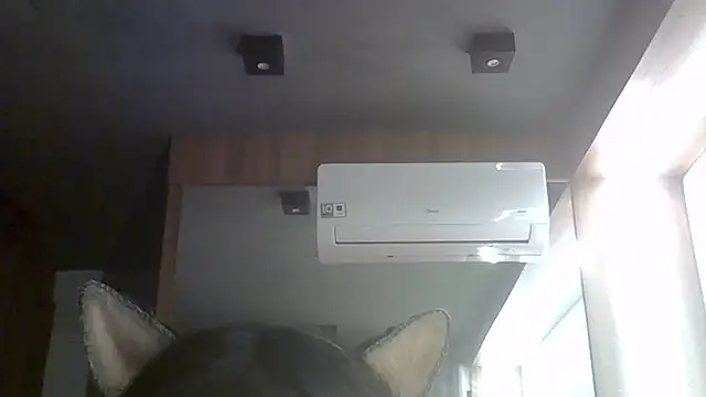 SkinnyKitten's Webcam Show