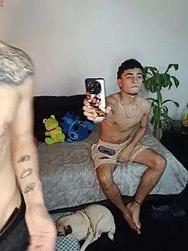 tiancam Live XXX-chat