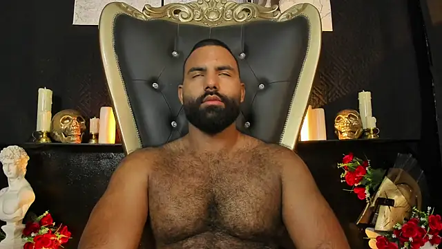Chat XXX ao vivo de BeardAndrew