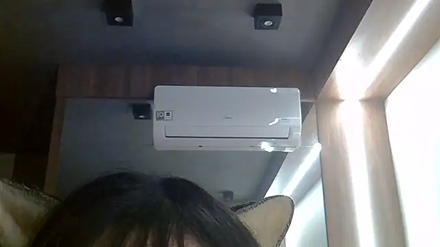 Show de webcam de SkinnyKitten