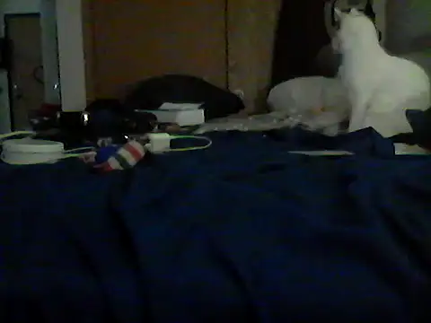 Chat XXX en directo de Silencio26