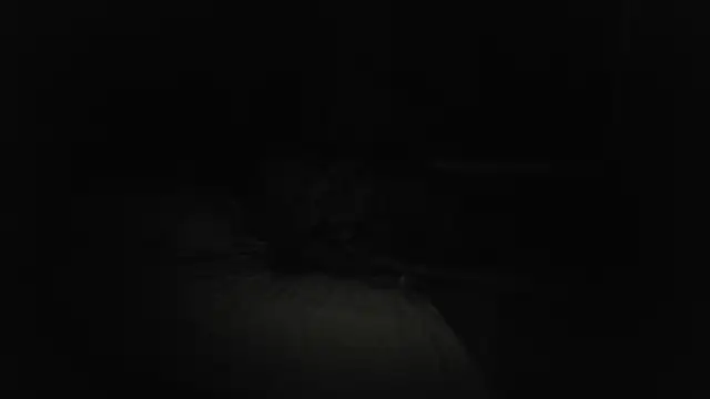 Show webcam de The_Real_aDDix269