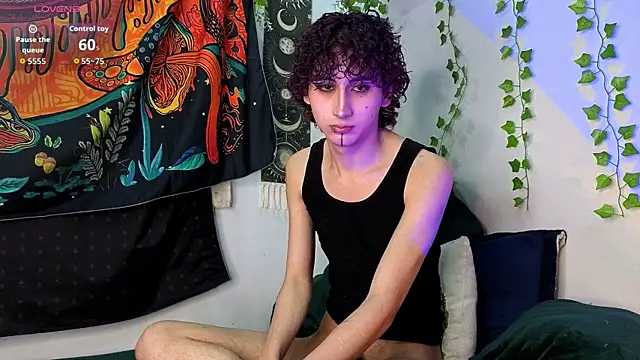 Show webcam de noynxz