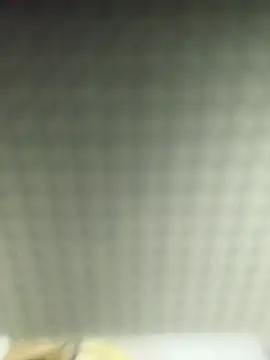 adicma123 Live XXX-chat