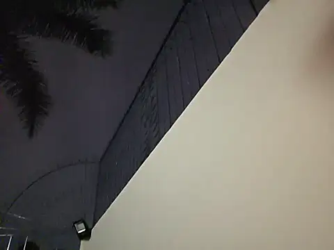 Chat +18 de OSOTe84 ao vivo