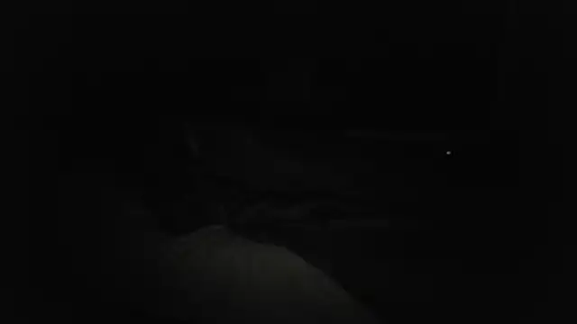 The_Real_aDDix269 Show in webcam