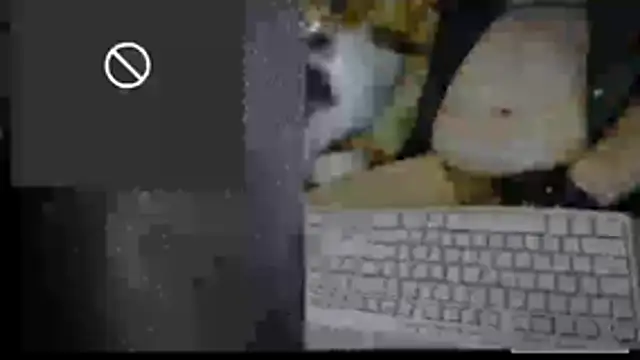 BriTheTopBear Live XXX-chat