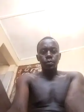 tonymalebo live XXX chat