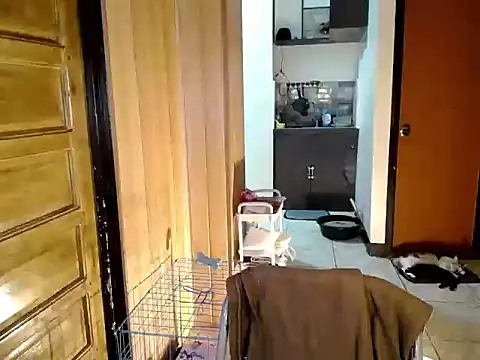 jakoloten Live XXX-Chat