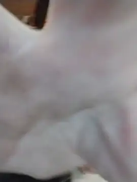 Wildgrace74's Webcam Show